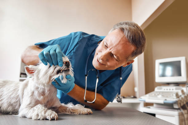 Best Emergency Dental Surgery in Jennings, MO